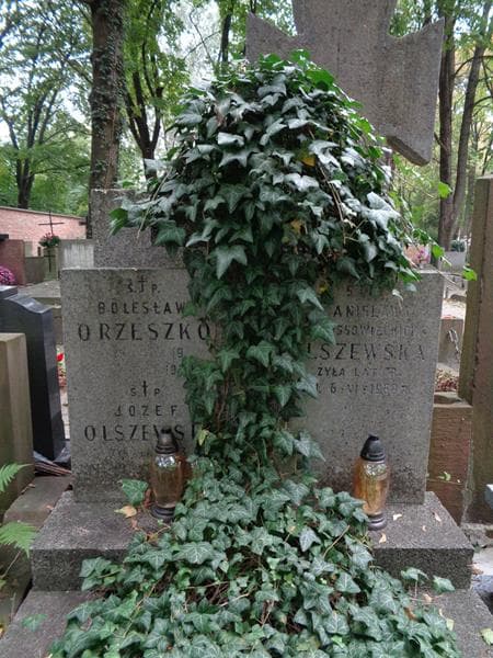 Zdjęcie grobu Józef Olszewski (2)