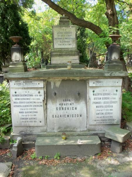 Zdjęcie grobu: Zygmunt Marciński