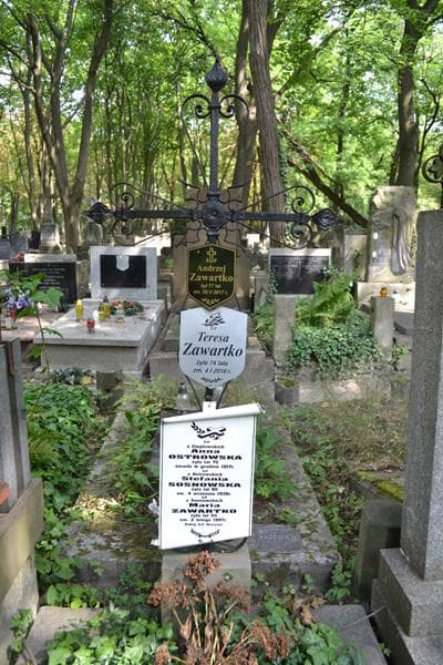 Zdjęcie grobu Maria Zawartko (2)
