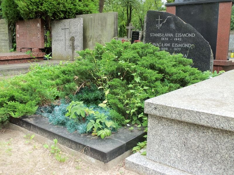 Zdjęcie grobu Janina Lisiecka (1)
