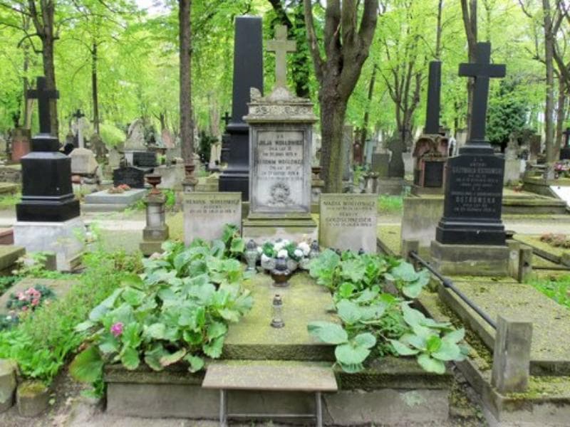 Zdjęcie grobu: Henryk Goldschneider