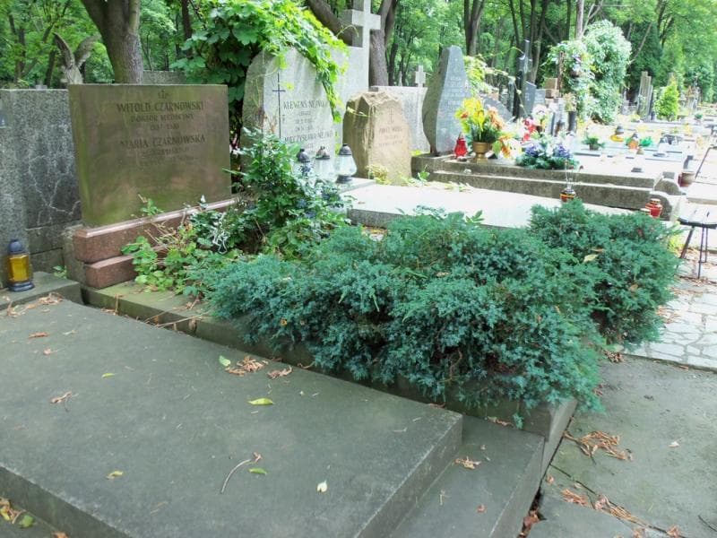 Zdjęcie grobu: Witold Czarnowski