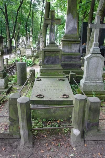Zdjęcie grobu Aleksander Stępkowski (1)
