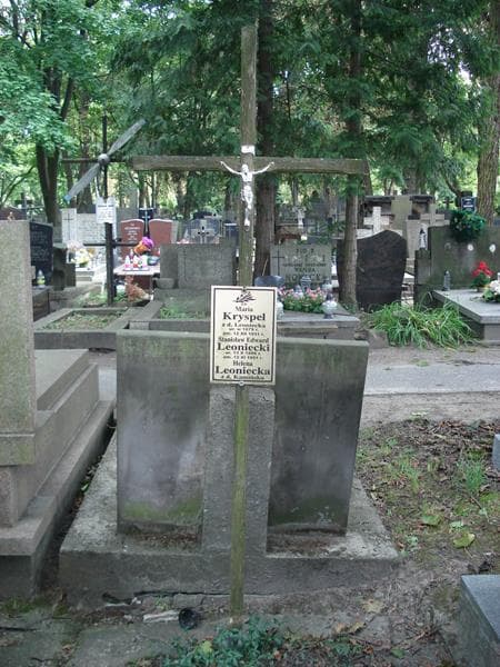 Zdjęcie grobu Stanisław Leoniecki (1)