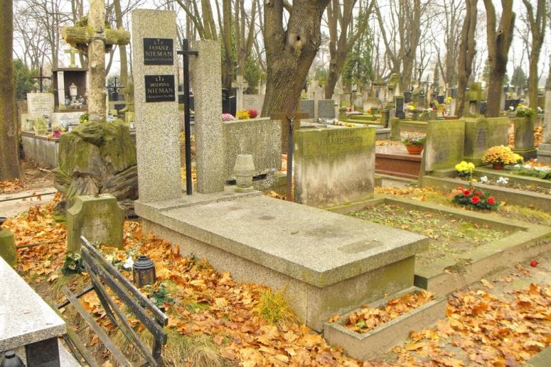 Zdjęcie grobu Malwina Nieman (1)