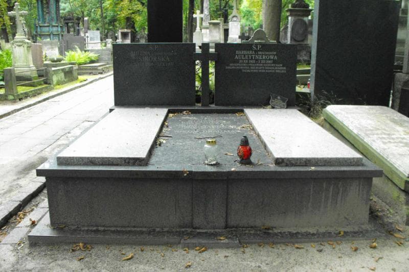 Zdjęcie grobu: Wiktor Brauman