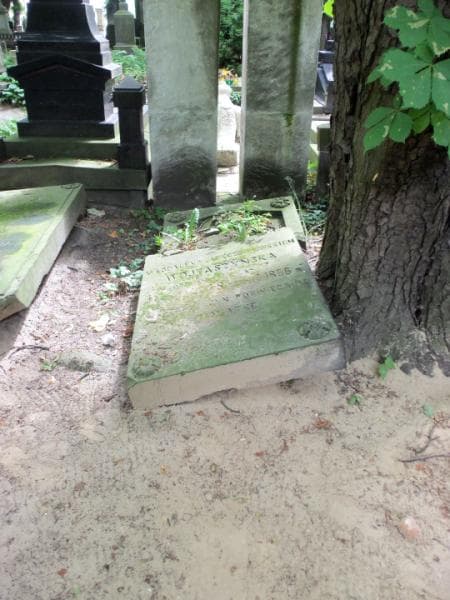 Zdjęcie grobu: Magdalena Wojtaszyńska