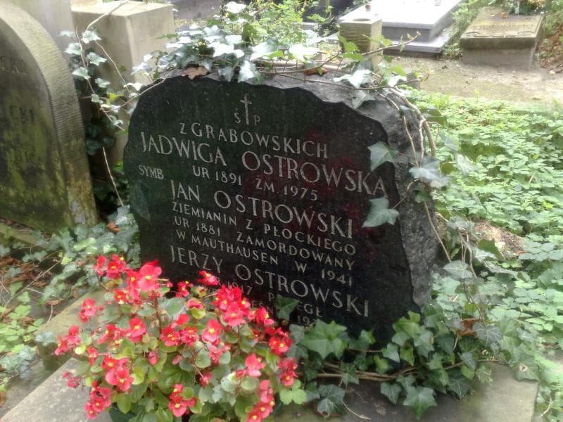 Zdjęcie grobu Maria Grabowska (1)