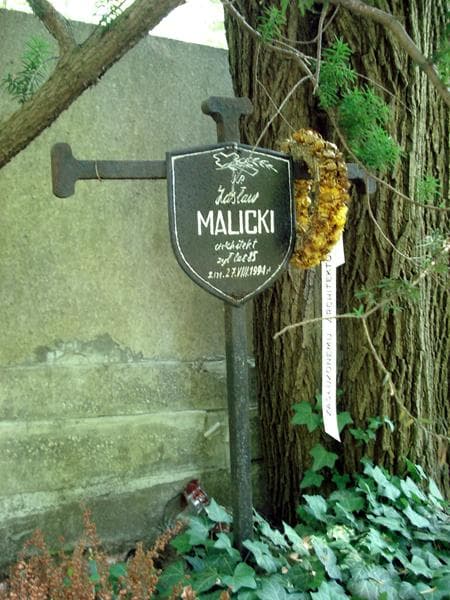 Zdjęcie grobu Teofil Adam Malicki (1)