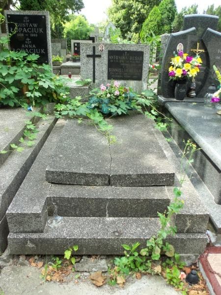 Zdjęcie grobu Antonina Desko (1)