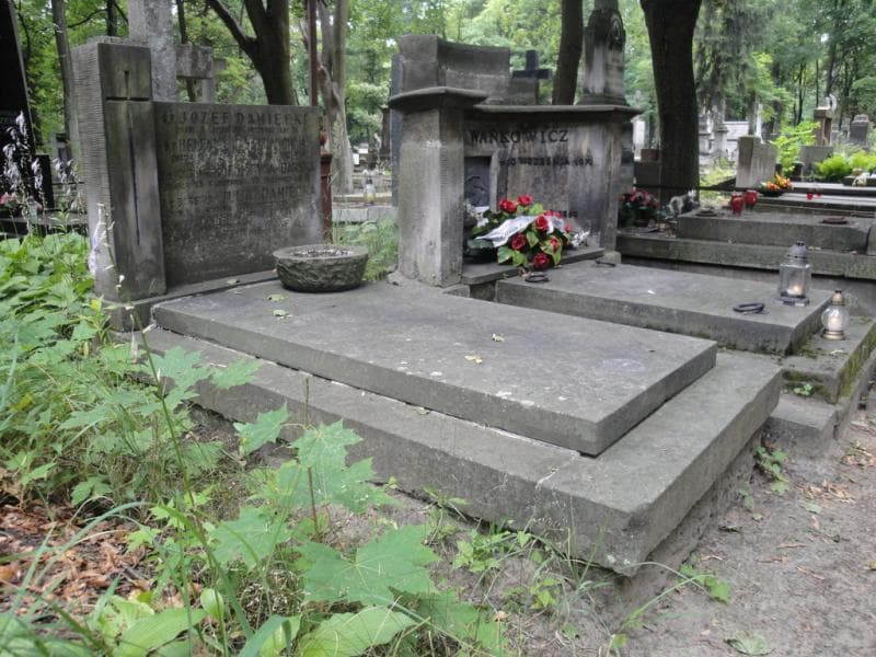 Zdjęcie grobu Julja Damięcka (1)