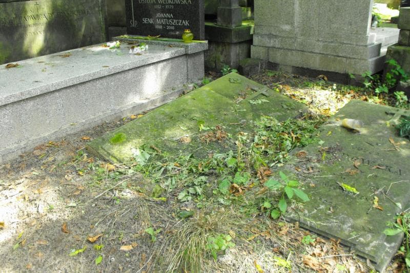 Zdjęcie grobu Ignacy Badowski (1)