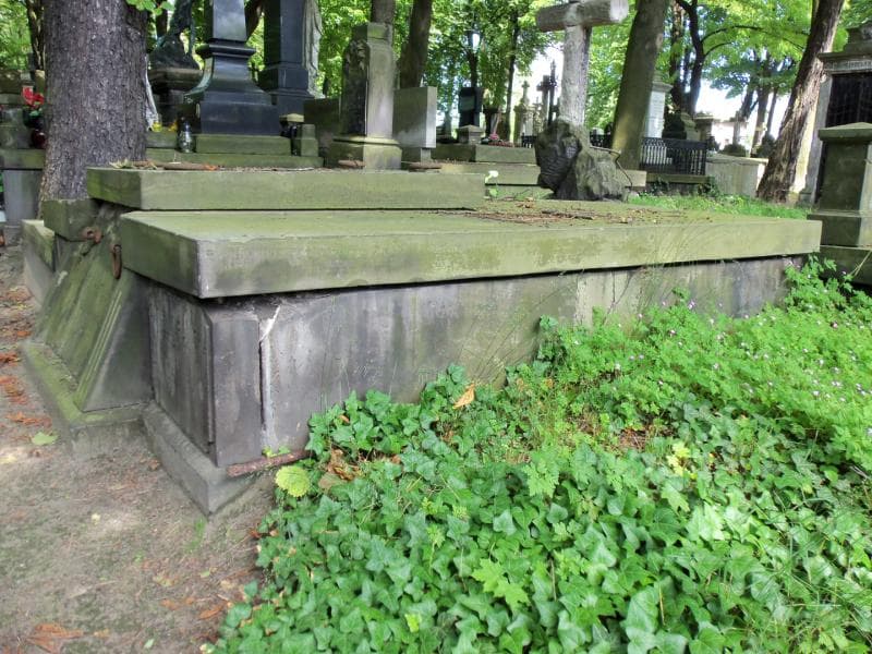 Zdjęcie grobu Wacław Centkowski (2)