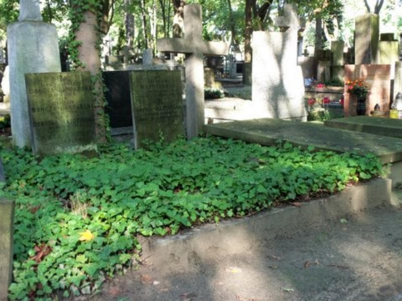 Zdjęcie grobu Stanisław Bończa-Gasparski (1)