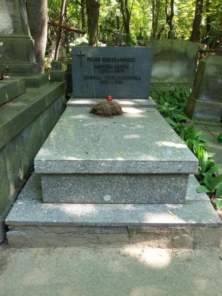 Zdjęcie grobu Henryka Dzierżanowska (1)