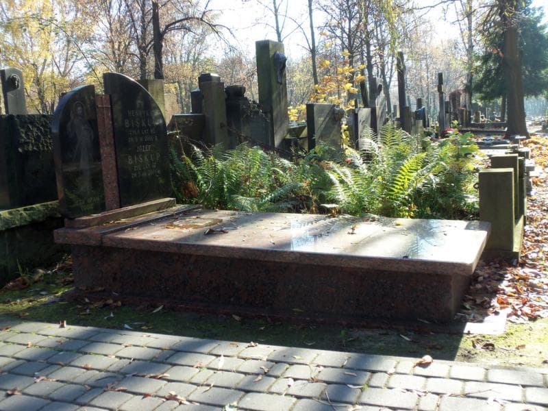 Zdjęcie grobu Henryka Biskup (1)