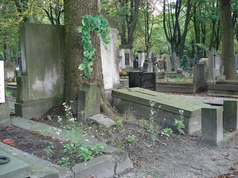 Zdjęcie grobu Michał Wasielak (1)