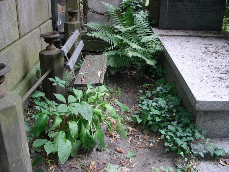 Zdjęcie grobu Pole Grobowe (1)