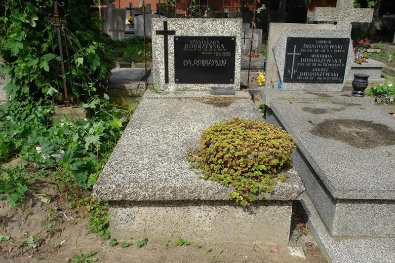 Zdjęcie grobu Jan Dobrzyński (1)