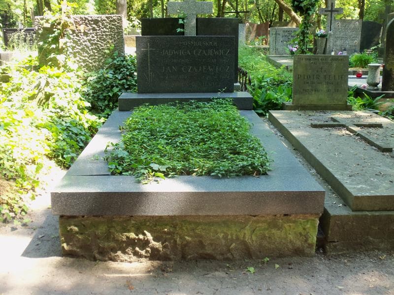 Zdjęcie grobu: Jacek Czajewicz