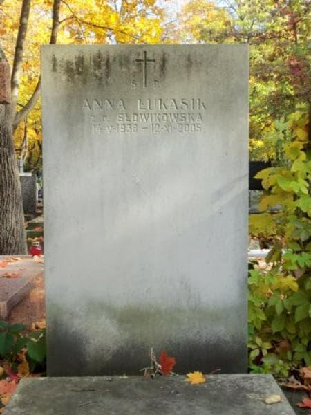 Zdjęcie grobu Józef Słowikowski (2)