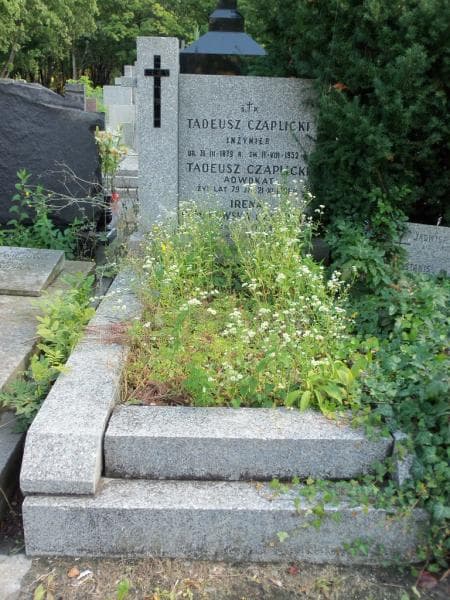 Zdjęcie grobu: Tadeusz Czaplicki