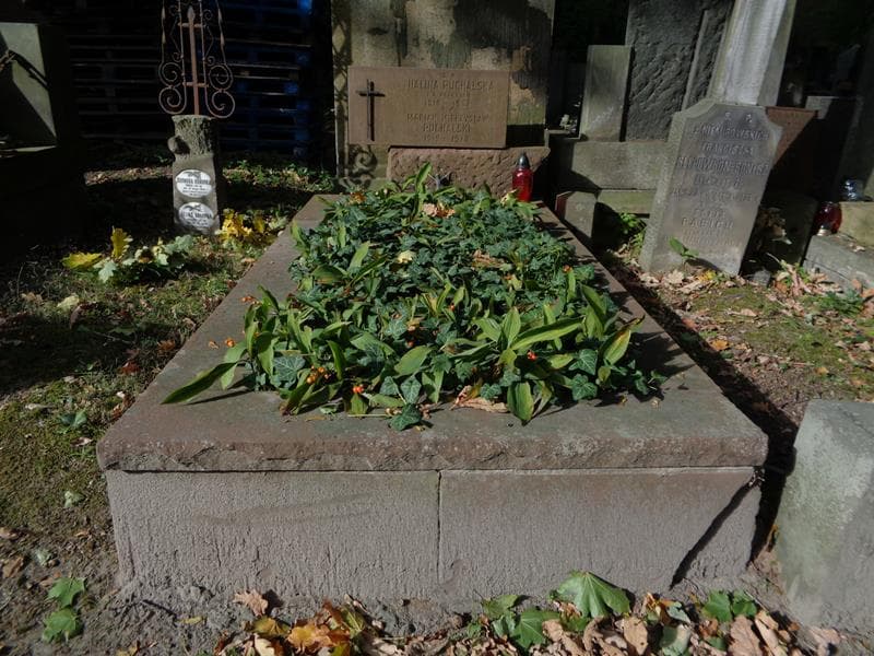 Zdjęcie grobu Halina Puchalska (1)