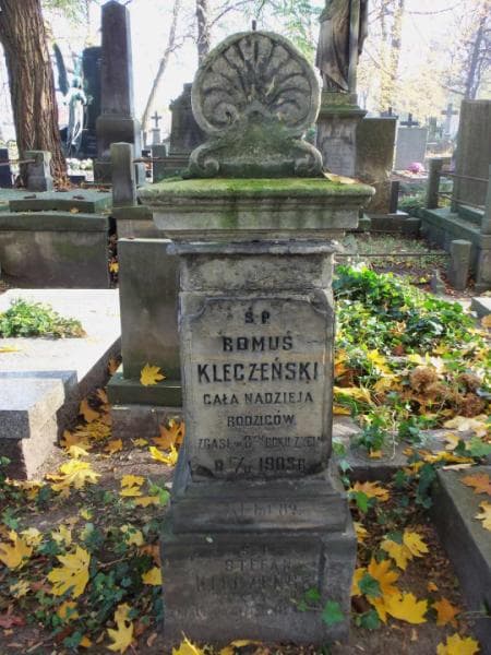 Zdjęcie grobu Stefan Baliński (2)