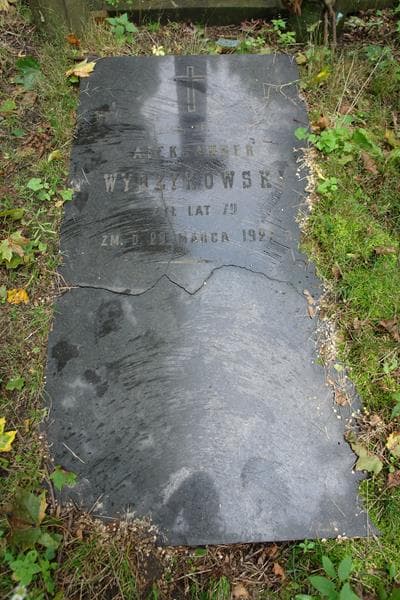 Zdjęcie grobu Aleksander Wyrzykowski (2)