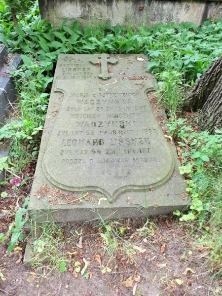 Zdjęcie grobu Wojciech Wincenty Wadzyński (1)