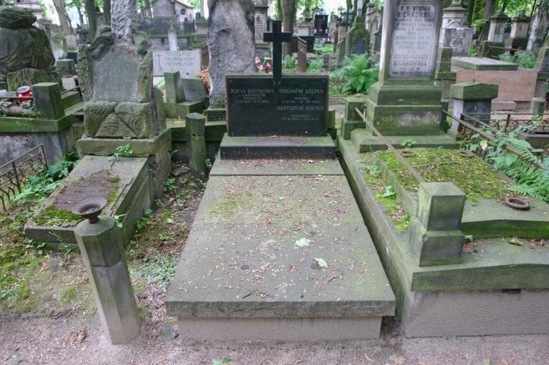 Zdjęcie grobu Zofia Rzepkowa (1)