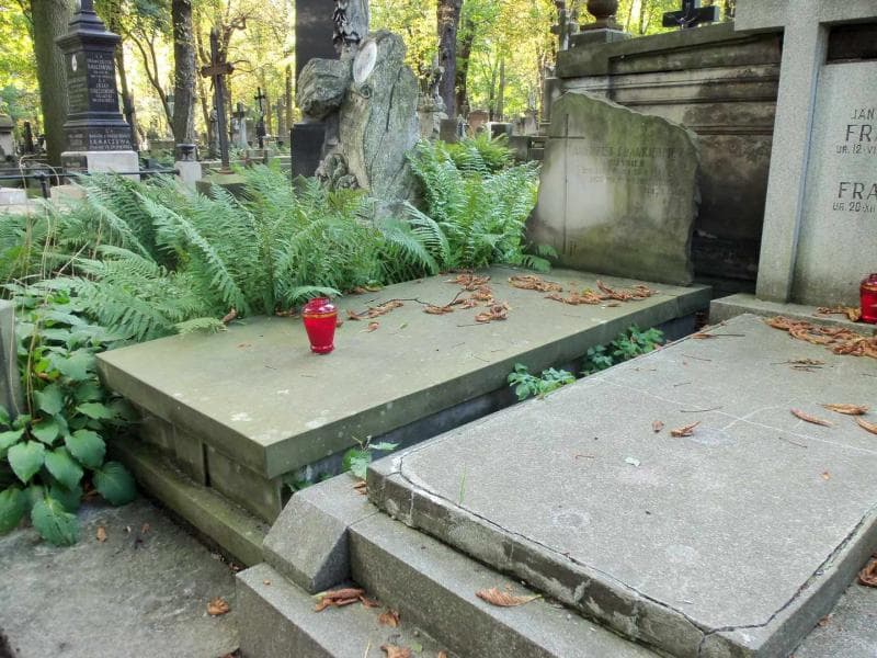 Zdjęcie grobu Andrzej Frankiewicz (1)
