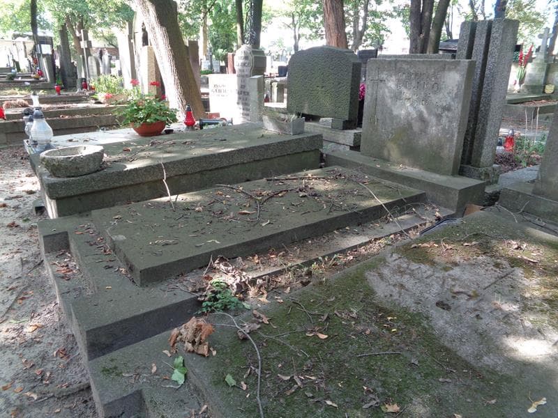 Zdjęcie grobu: Franciszek Bujko