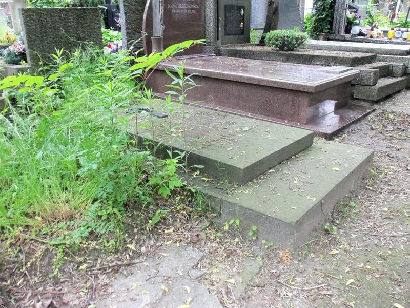 Zdjęcie grobu Janina Strazyńska (1)