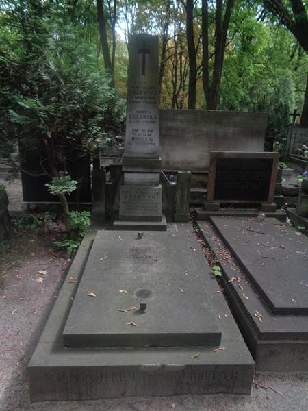 Zdjęcie grobu Henryka Krzewska (1)