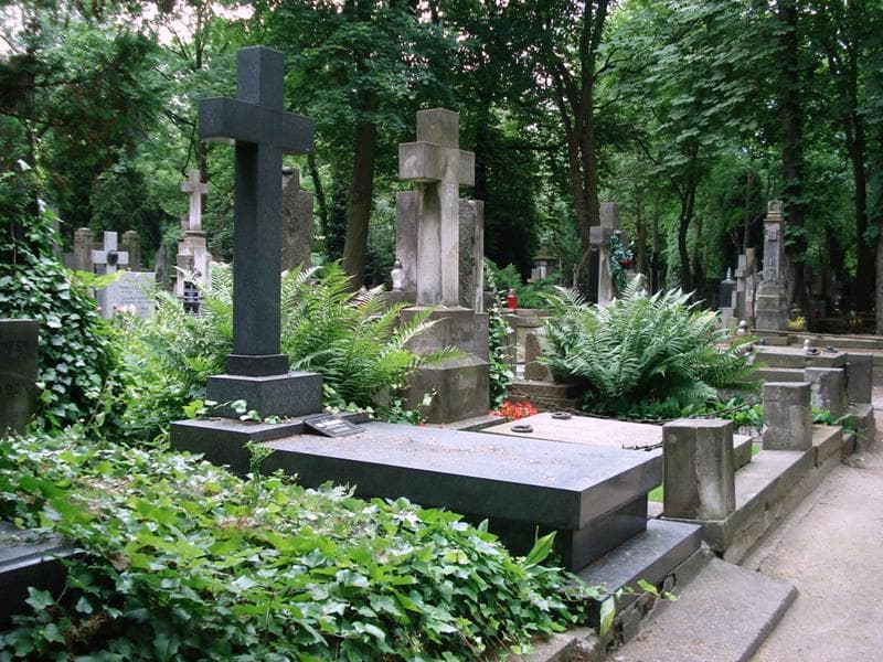 Zdjęcie grobu Danuta Lewandowska (2)