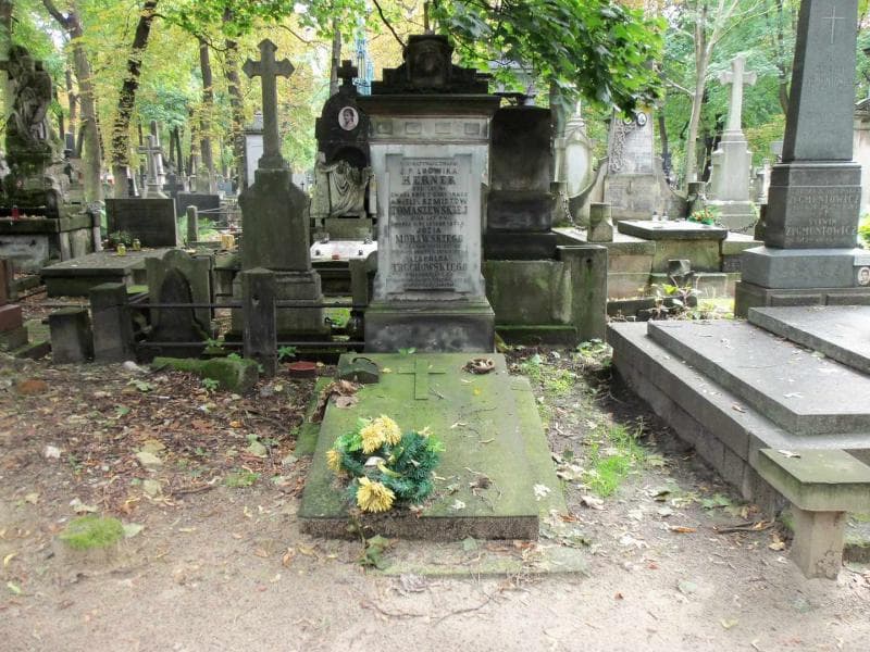 Zdjęcie grobu: Ludwik Herner