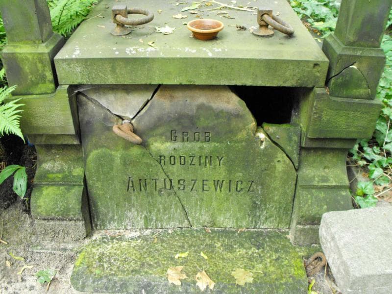 Zdjęcie grobu Antuszewiczowie (2)