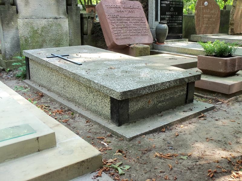 Zdjęcie grobu Henneberg (1)