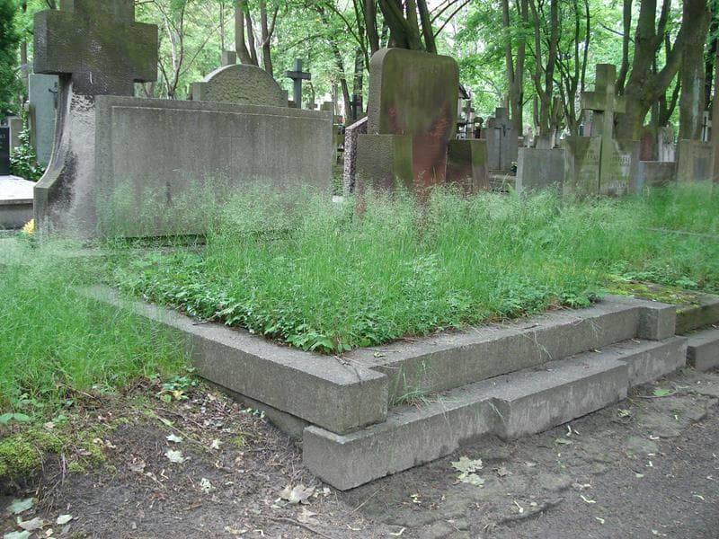 Zdjęcie grobu Franciszek Senderowicz (1)