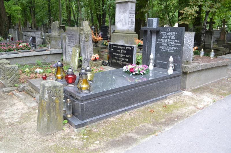 Zdjęcie grobu: Bronisław Dzikiewicz