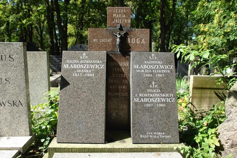 Zdjęcie grobu Halina Aleksandra Słaboszewicz (2)