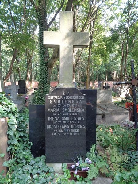 Zdjęcie grobu Bronisława Górska (2)