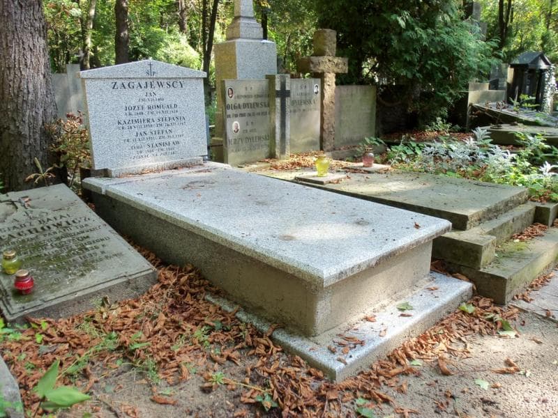 Zdjęcie grobu Stanisław Zagajewski (1)