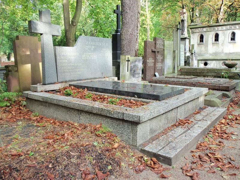Zdjęcie grobu Tadeusz Iwanicki (1)