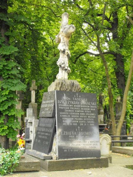 Zdjęcie grobu Ludwik, Gustaw Dzierżykray-Rogalski (2)