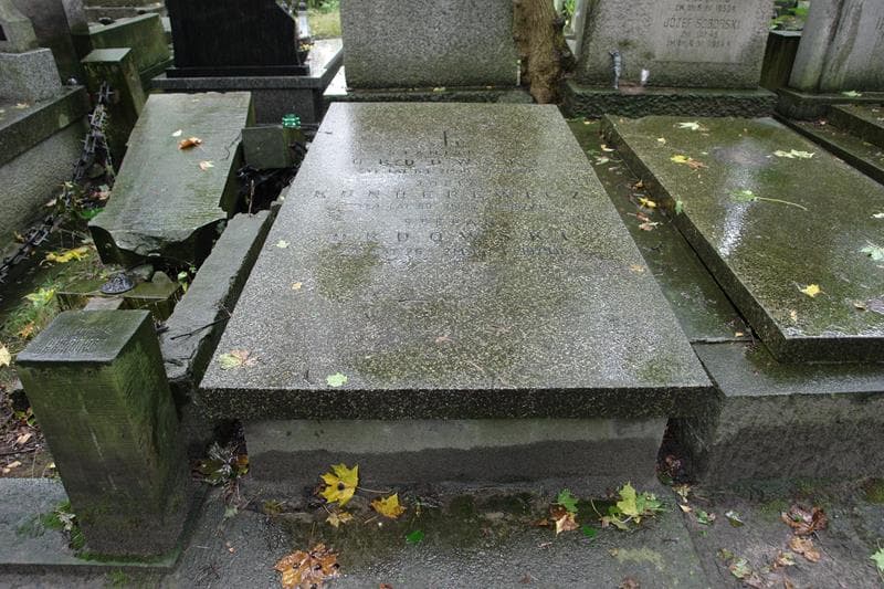 Zdjęcie grobu Zofia Kunderewicz (1)