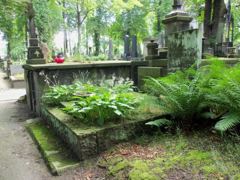 Zdjęcie grobu: Oleńka Maciejewska