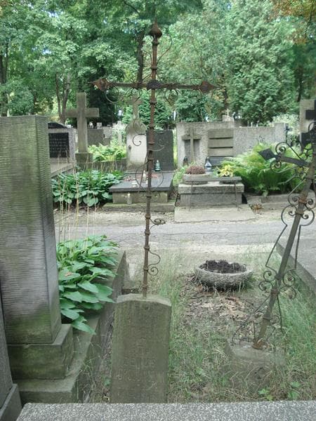 Zdjęcie grobu Władysława Ogrodowczyk (1)