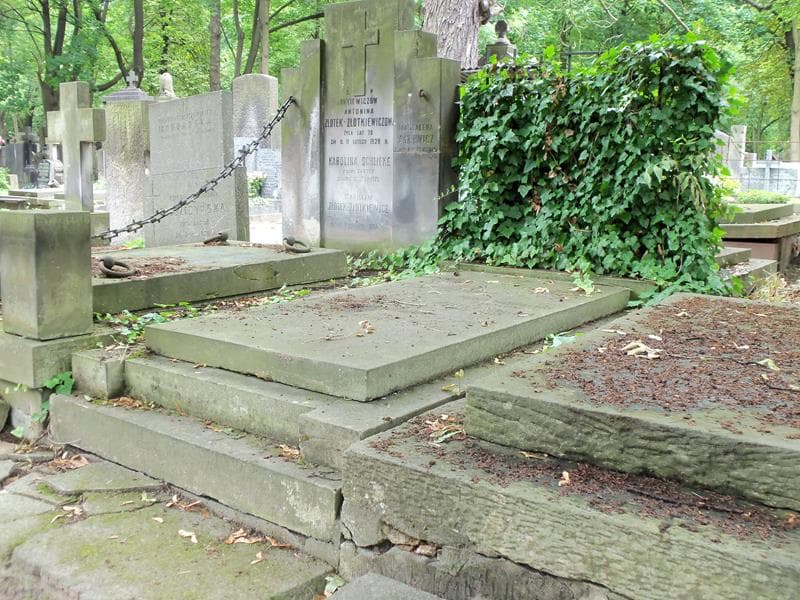 Zdjęcie grobu Leszek Wojtulewicz (1)